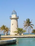 lighthouse and palm trees on the sea coast