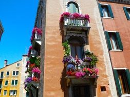 colorful potted flowers on balconies in old city, italy, venice
