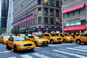 yellow taxis cars on 5th avenue, usa, manhattan, nyc