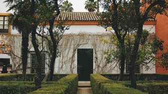 shrubs and trees at house with vines on facade, spain, seville