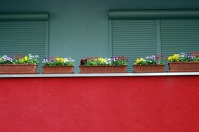 colorful flower boxes on red balcony of modern building