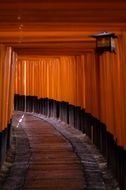 Torii, walkpath in fushimi inari shrine, japan, kyoto