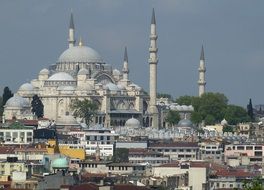 bosphorus mosque in city, turkey, istanbul