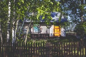 old village house beneath birches behind fence