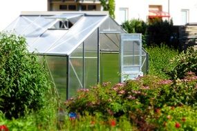 greenhouse in the middle of the garden