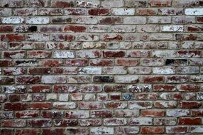 brick wall texture background old red brick