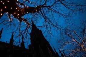 Christmas tree lights against the background of the church