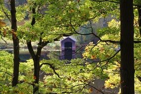 view of purple boat house on water through beech leaves