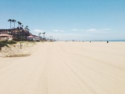 empty tropical sand beach, usa, california