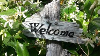 welcome, wooden sign in garden among flowers