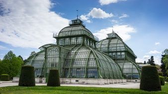 palmhouse in schonbrunn palace