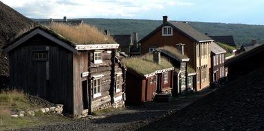 old village houses with grass on roofs on street, norway, røros