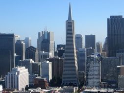 Transamerica Pyramid in cityscape, usa, california, san francisco