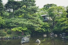 japanese house with pond with green garden