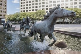 Mustangs at Las Colinas, bronze sculpture in fountain, usa, texas, Irving