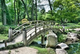 arched bridge in japanese garden