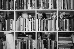 Book shelf at home in black and white background