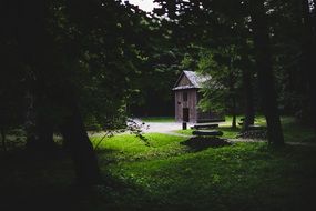 small house in the green forest