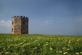 old Customs tower on beautiful blooming meadow, australia, sydney, la perouse