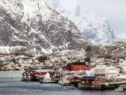 colorful houses on coast at snowy mountains, norway, lofoten