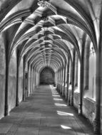 long ornamented arched vault, black and white