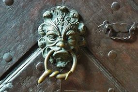 antique brass door handle and doorknocker close-up