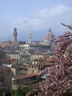 roof view of old sity at spring, italy, florence