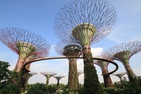 supertrees in garden by the bay in Singapore