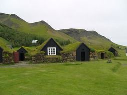 houses with a green roof as part of Iceland