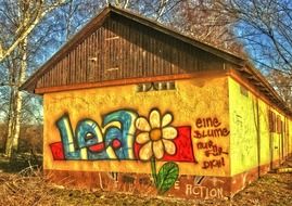 colorful graffiti with flower on yellow facade