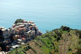 top view of houses on cliff at sea, italy, liguria, cinque terre