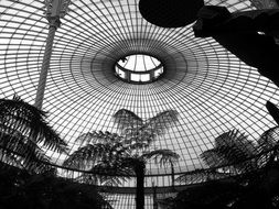 round glass ceiling of greenhouse