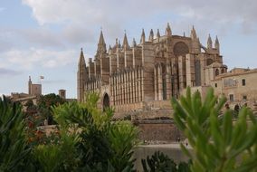gothic cathedral of Palma de Mallorca at sky, Spain