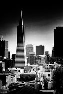black and white picture of transamerica pyramid in San Francisco
