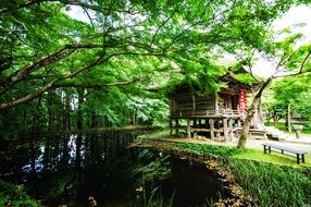 mysterious mountain japan natural wood house