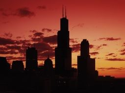 chicago skyscrappers during sundown