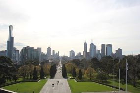 melbourn city skyline boulevard trees grass footway