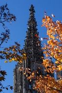 main tower of ulm cathedral at sky behind trees at autumn, germany
