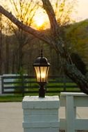 street lamp near a tree in georgia