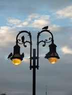 pigeons on vintage street lantern at evening sky