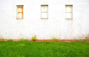 green grass at grunge white wall