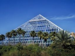 palm trees at glass pyramid, greenhouse of moody gardens, usa, texas, galveston