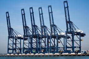 blue cranes in container port, uk, england, felixstowe