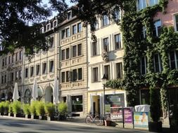 ivy on old facades and potted plants on street, germany, wÃ¼rzburg