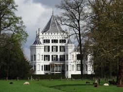 landscape of castle among beautiful nature