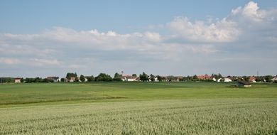 village with church at green field, rural landscape