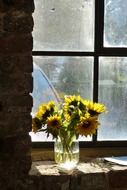 sunflowers, bouquet at window in abandoned building