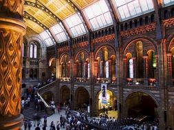 museum of natural history in london