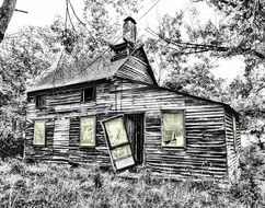 black and white photo of Ruined hut in Forest