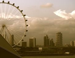 ferris wheel at evening cityscape, singapore